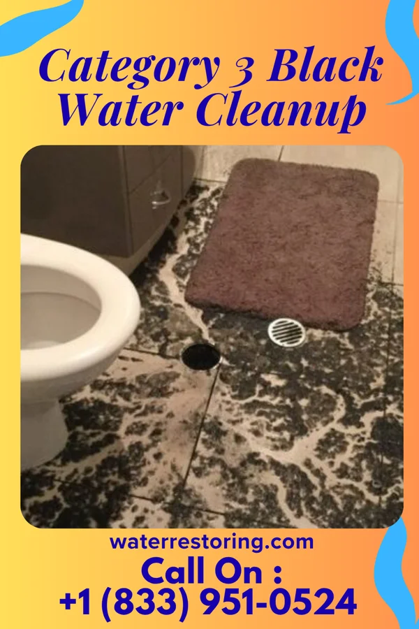 Category 3 Black Water Cleanup in Goodell, IA