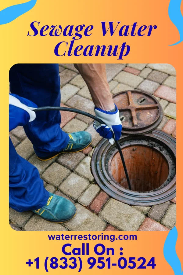 Sewage Water Cleanup in Goodell, IA